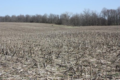 Property photo 4 - 200+/- Acre Land Auction in Gibson County, Indiana